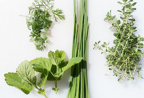 パクチーの寄せ植え 相性のいい植物は 野菜大図鑑