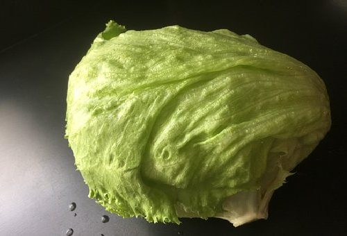 レタスの外側の葉 食べ方と捨てる必要性はあるのかについて 野菜大図鑑