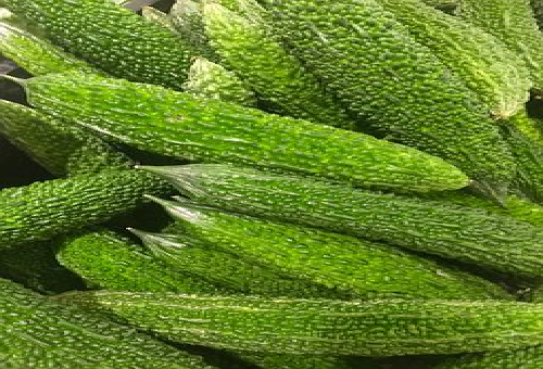 ゴーヤの実を大きく成長させる方法 摘果のコツは 野菜大図鑑