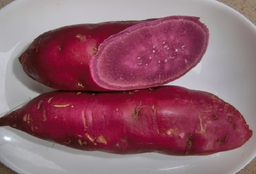 さつまいも 紅芋 違い 安納芋 紫芋