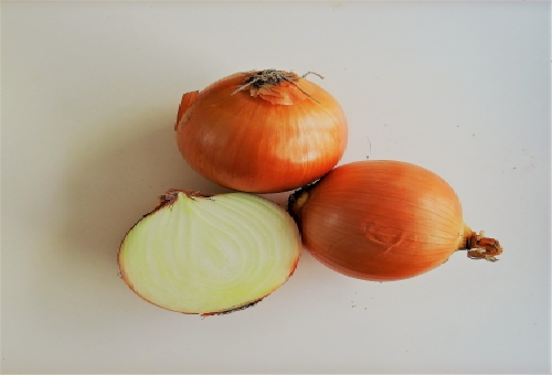 鱗茎菜