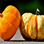 国産のかぼちゃと輸入かぼちゃ！違いは？