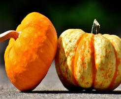 かぼちゃ 国産 輸入
