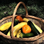 ズッキーニの残留農薬の落とし方は？無農薬野菜と有機野菜の違いについて！