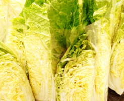 白菜 消費量 日本 都道府県